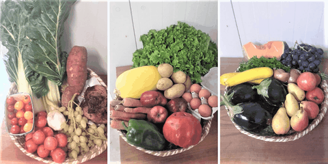 Fruits & Légumes​